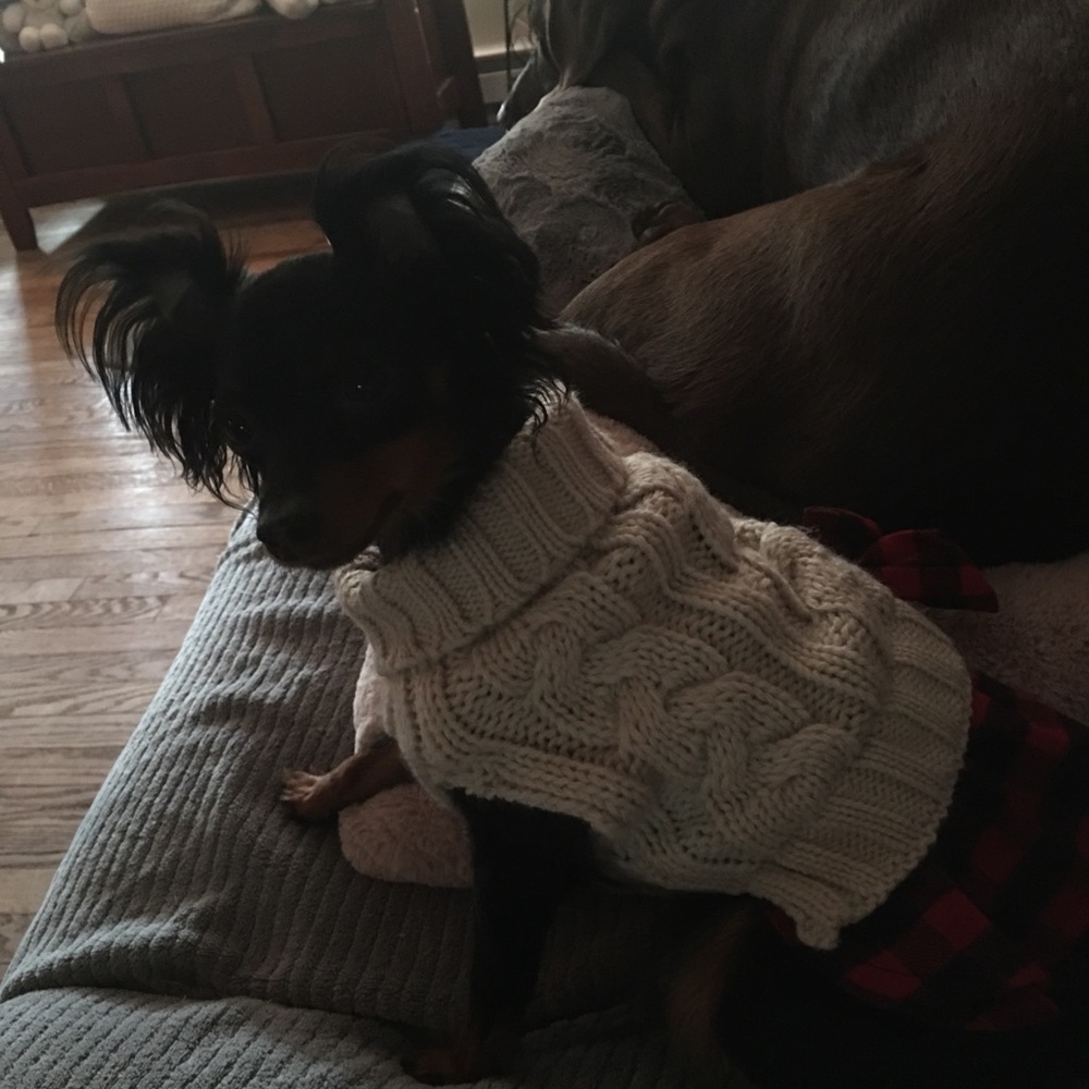 Meet your Posher, Colleen